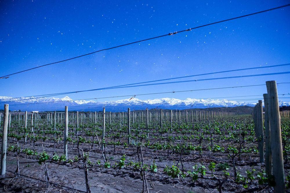 Auberge Du Vin, A Tribute Portfolio Hotel Tupungato Εξωτερικό φωτογραφία