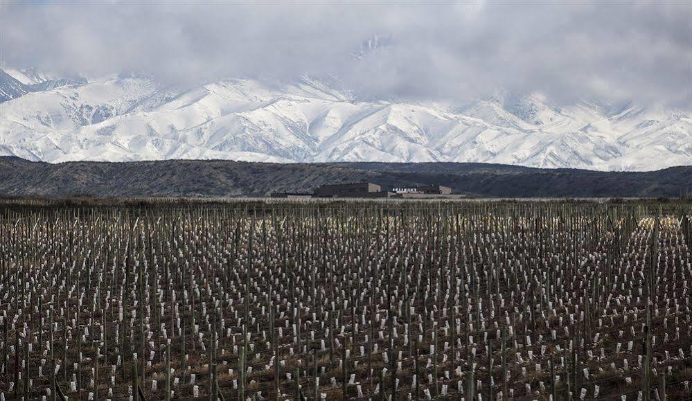 Auberge Du Vin, A Tribute Portfolio Hotel Tupungato Εξωτερικό φωτογραφία