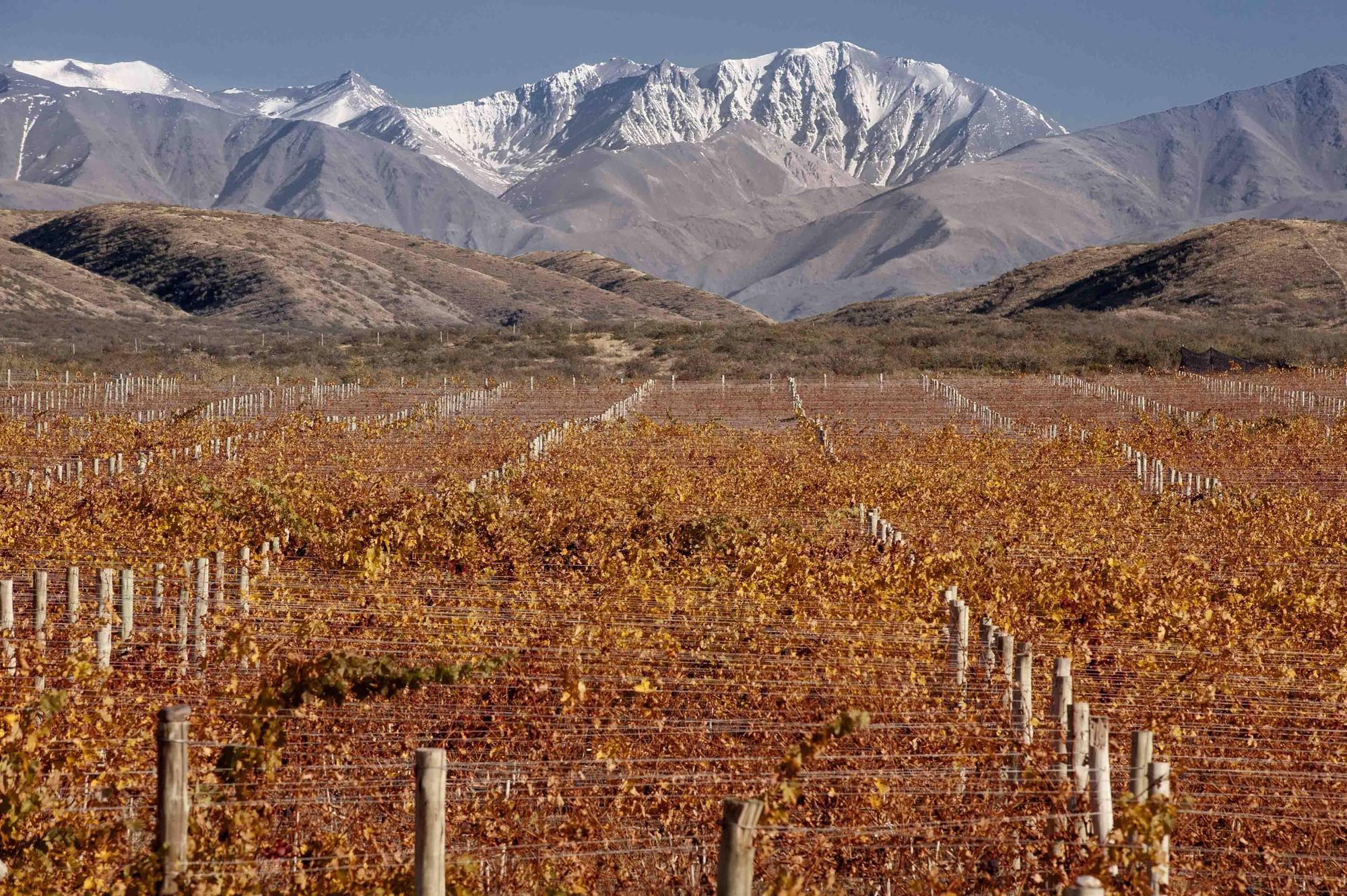 Auberge Du Vin, A Tribute Portfolio Hotel Tupungato Εξωτερικό φωτογραφία
